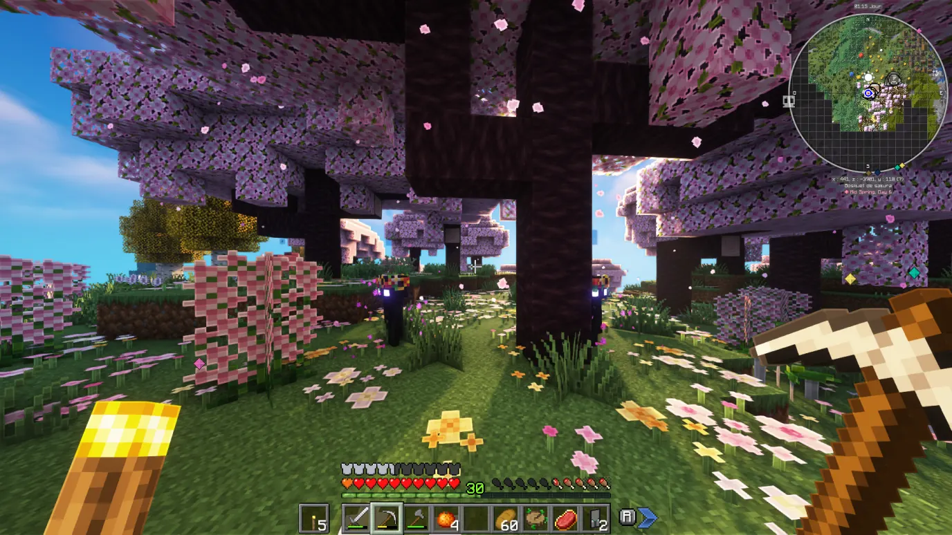 Capture d'écran du serveur Minecraft KL'Hammer