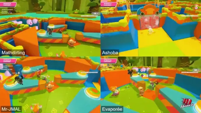 Capture d'écran de la partie Fall Guys du Tourn'Hammy #2